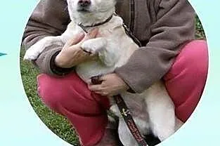 PIMPUŚ - mały, kochany przytulak do adopcji! FILM,
