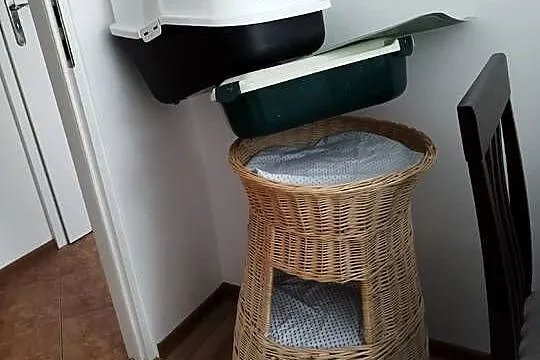 Wyposażenie dla kota, Zachodniopomorskie, Gryfino