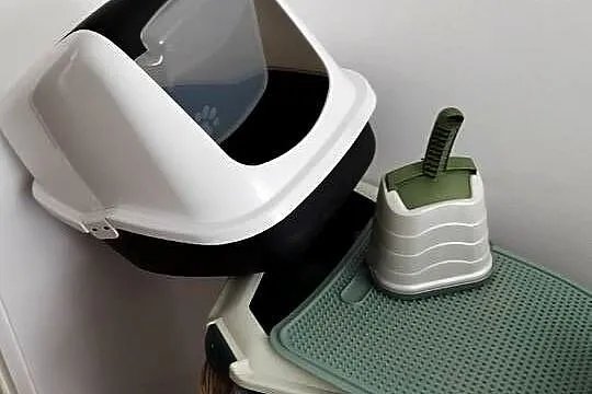 Wyposażenie dla kota, Zachodniopomorskie, Gryfino