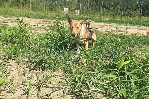 Chłopak jak malowanie Panowie i Panie zapraszam na