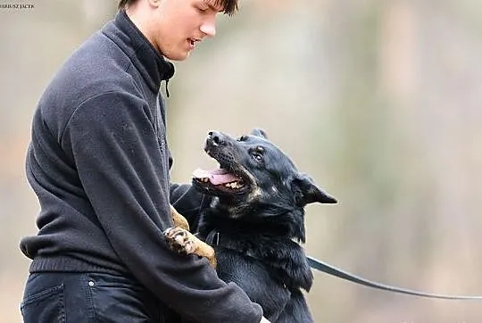 KUBA (adoptowany) a HAKER wciąż szuka domu...
