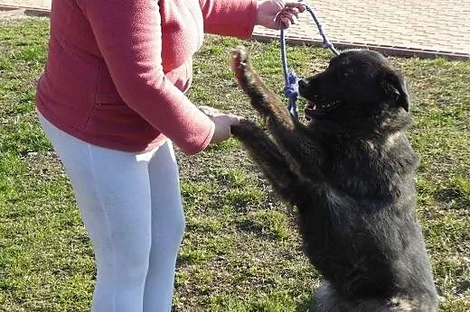 Duza piękna i subtelna Kazia czeka na kochający do
