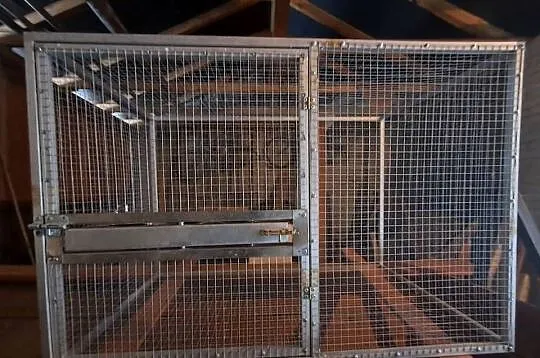 Klatka dla papug, Podkarpackie, Tryńcza