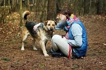 Maksio  ma wspaniały charakter, bardzo kocha ludzi