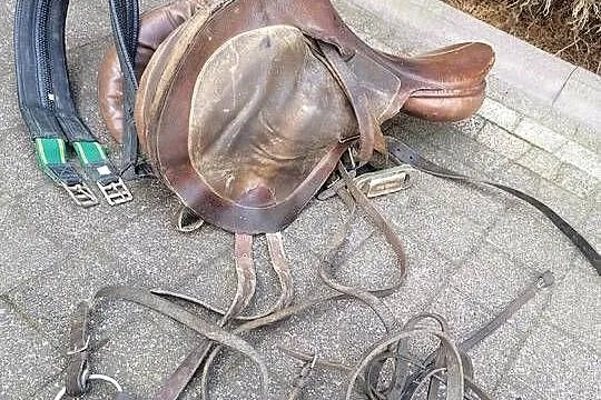 Siodło, do jazdy konnej wędził. Akcesoria