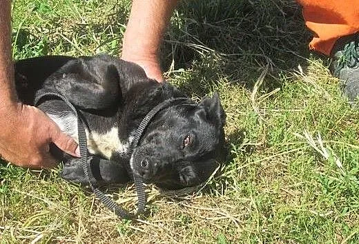 Aronia do pokochania od zaraz , Kundelki cała Pol