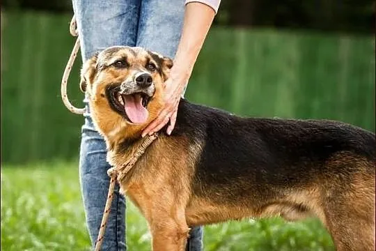 Dexter - dla tych, co nie lubią ciągle siedzieć w domu :)