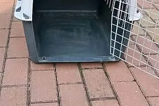 Transporter dla psa/kota Pet Carrier 4 – solidny, duży