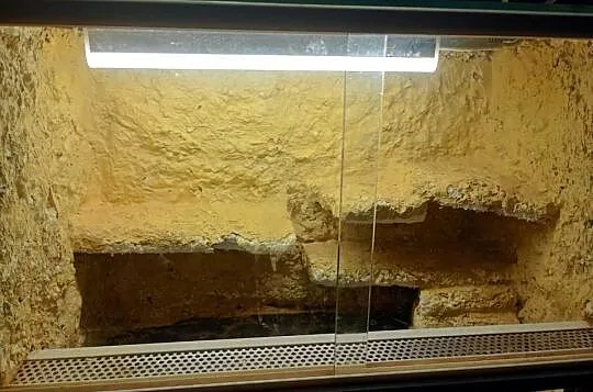 Terrarium, Kujawsko-pomorskie, Aleksandrów Kujawski