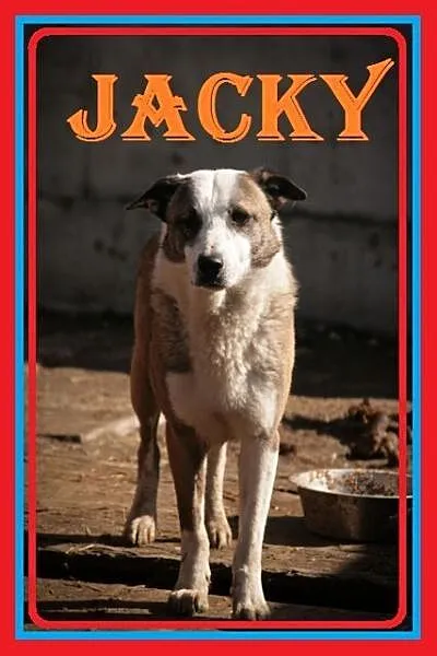 Jacky-nie ma oczka___ czy dlatego nikt nie chce da