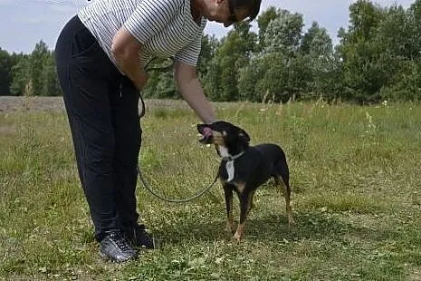 Mania to cudna psinka - od lat czeka na wymarzony 