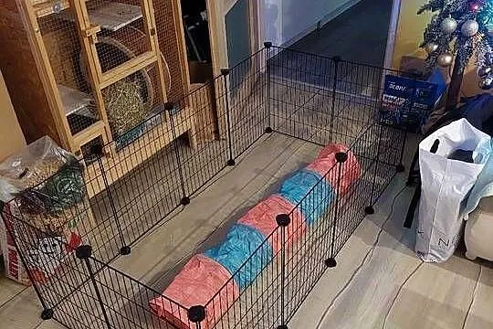 Kojec dla gryzoni klatka dla królika świnki morskiej DIY