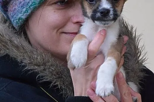 2 miesięczny Simba szuka domu!,  mazowieckie Warsz