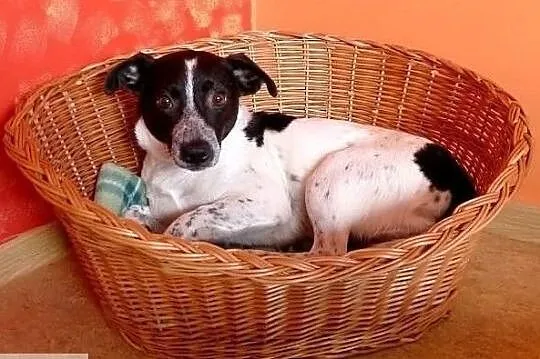Marzę o wspaniałym domku jakiego nigdy nie miałem, Mazowieckie, Warszawa