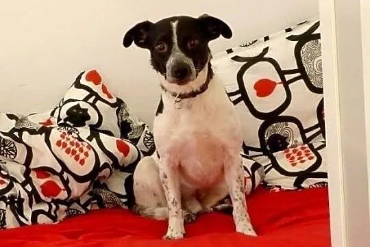 Marzę o wspaniałym domku jakiego nigdy nie miałem, Mazowieckie, Warszawa