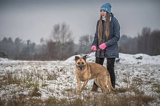 suczka-Dianna, Śląskie, Częstochowa