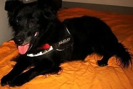 Tobi czy będzie jeszcze szczęśliwy  ,  mazowieckie