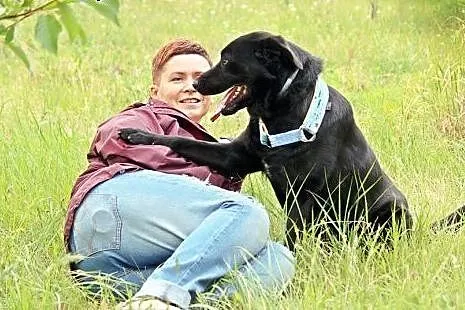 Młody czarny labrador Bleki do adopcji!,  wielkopo