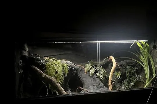 Terrarium 120x60x60 gotowe dla agamy, Pomorskie, Sopot