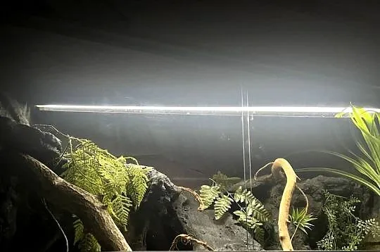 Terrarium 120x60x60 gotowe dla agamy, Pomorskie, Sopot