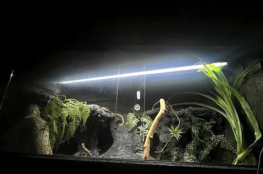 Terrarium 120x60x60 gotowe dla agamy, Pomorskie, Sopot