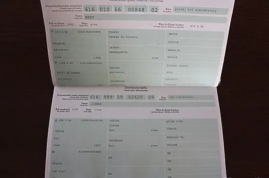 1,5 Roczny Ogier Zimnokrwisty