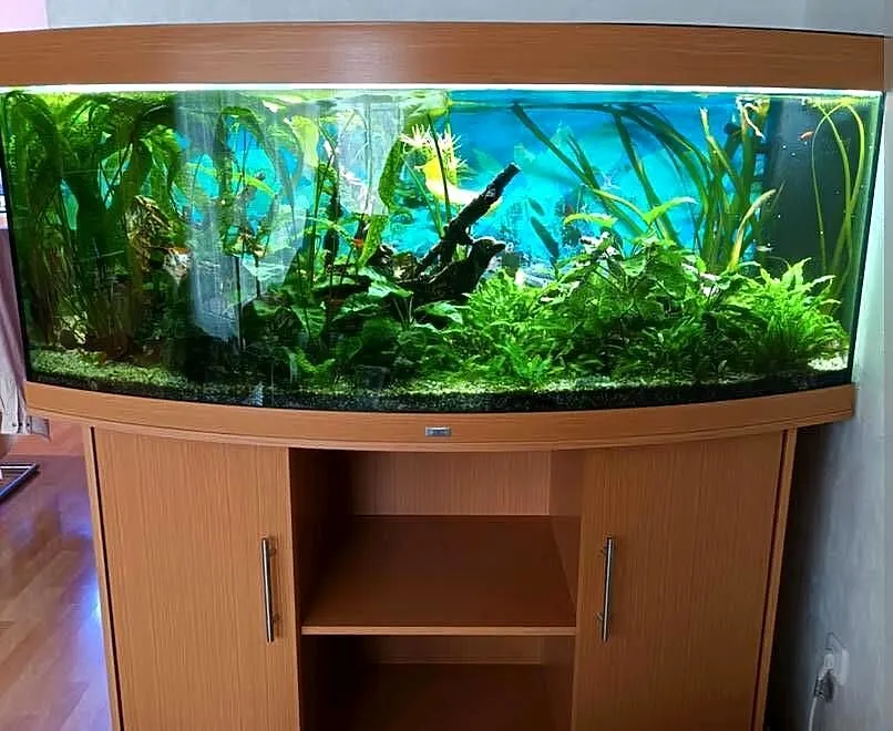 Akwarium juwel vision 450 l, Świętokrzyskie, Włoszczowa