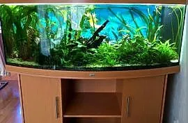 Akwarium juwel vision 450 l