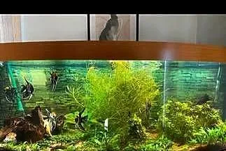 Akwarium juwel vision 450 l, Świętokrzyskie, Włoszczowa