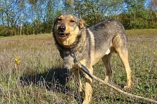 Czy radosny i pozytywny Fil nie zasługuję na odmia