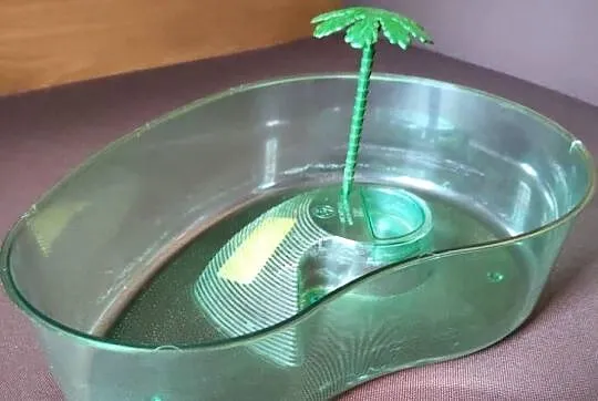Terrarium lub basen dla żółwia