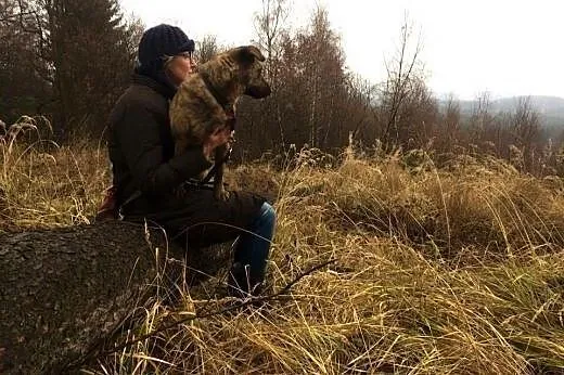 Saba szuka domu!&#128522;,  dolnośląskie Jelen