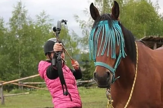 SPRZEDAM PIĘKNĄ KLACZ MAŁOPOLSKĄ, , Krynica-Zdrój