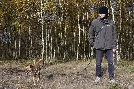 Reksio-grzeczny, spokojny psiak-honorowy dawca krw