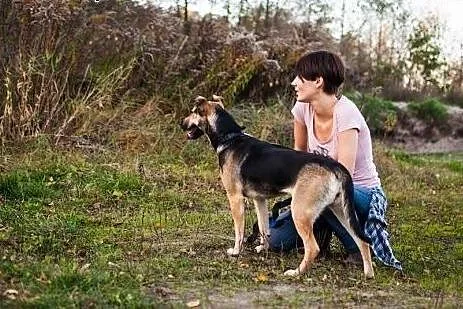 Dosia - łagodna, ale skoczna sunia szuka domu,  wi