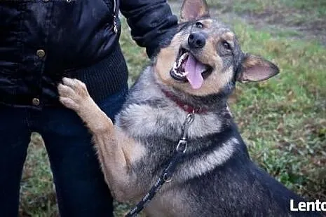 Fil nigdy nie był kochany, nigdy nie miał własnego