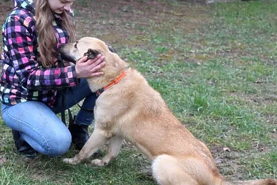 Luna do adopcji- do oddania w najlepsze rece, Dynów, 