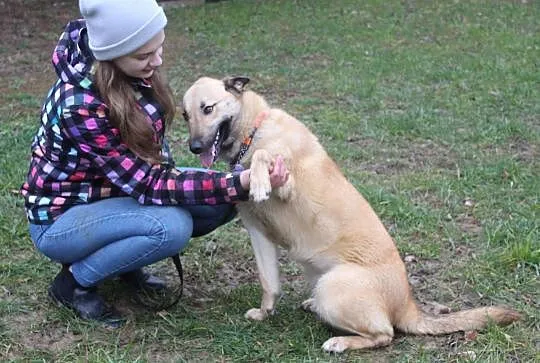 Luna do adopcji- do oddania w najlepsze rece, Dynów, 