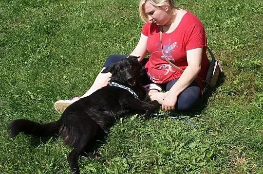 Fido - chcę pokochać jeszcze raz___