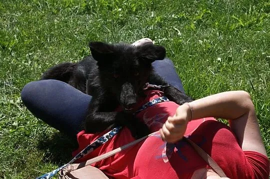 Fido - chcę pokochać jeszcze raz___
