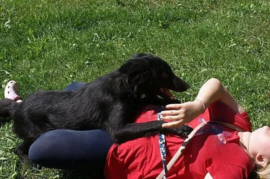 Fido - chcę pokochać jeszcze raz___