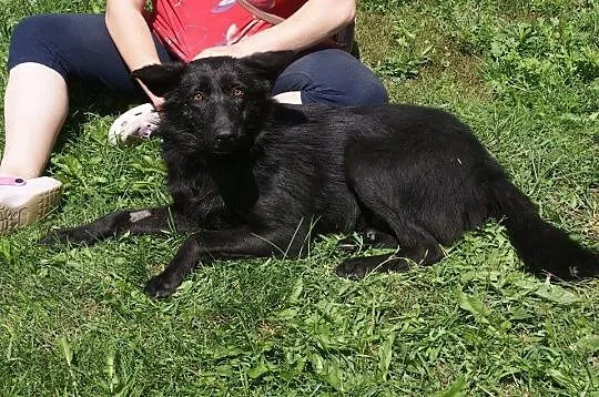 Fido - chcę pokochać jeszcze raz___