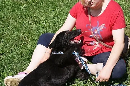 Fido - chcę pokochać jeszcze raz___