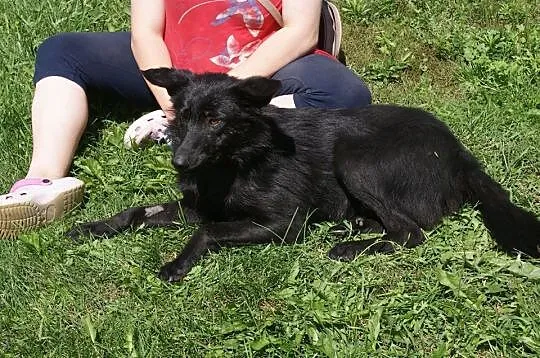 Fido - chcę pokochać jeszcze raz___