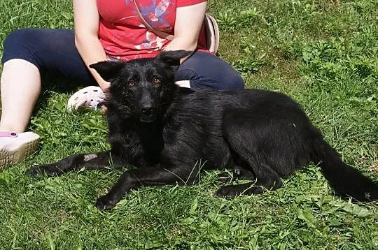 Fido - chcę pokochać jeszcze raz___