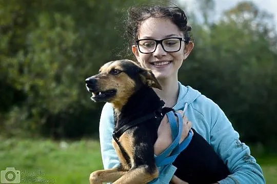Bryza, młoda, przyjazna i niewielka! Pokochaj właś