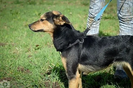 Bryza, młoda, przyjazna i niewielka! Pokochaj właś