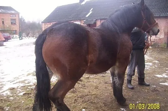 Tamka