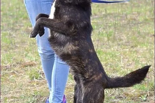 Młodziutki Leoś :) Cudeńko :),  warmińsko-mazurski