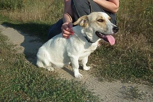 Urocza GRZESIA czeka na wspaniałego Człowieka!,  K